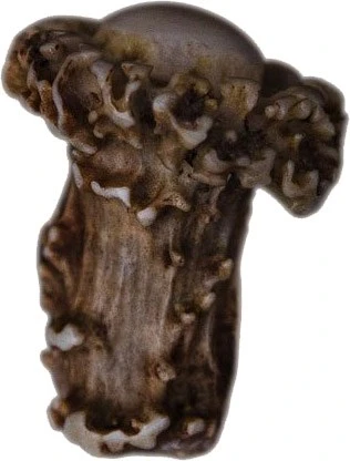 Exclusive Antler Handles For Baking Oven 3 Exclusive Antler Handles For Baking Oven